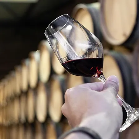 Apartman Sol Modern @ Batalha Metro